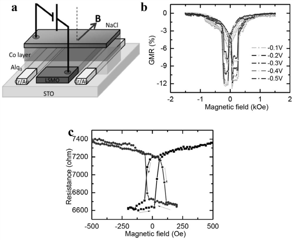 Fabrication process and application of a vertical-heterodomain organic spintronic device