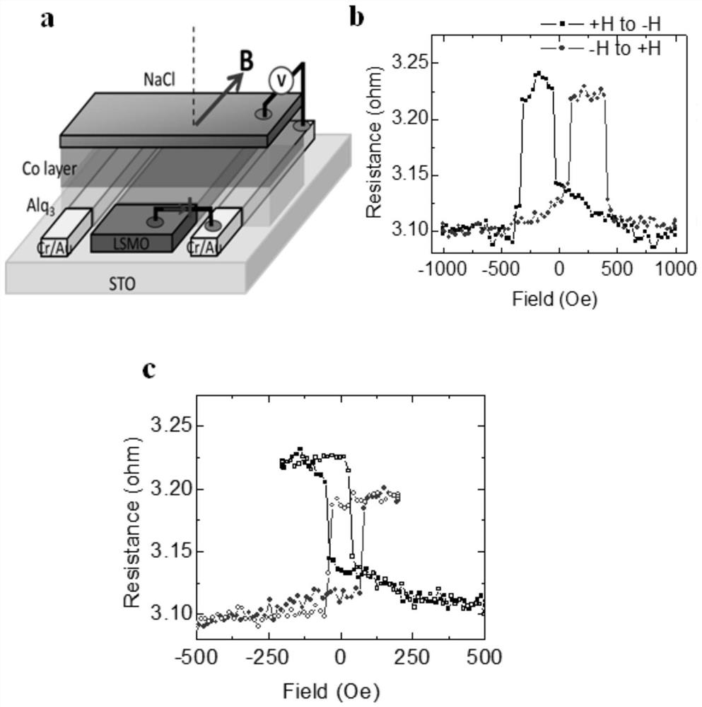Fabrication process and application of a vertical-heterodomain organic spintronic device