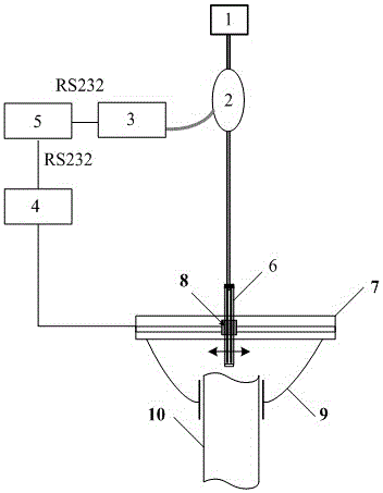 Split pork carcass fat and lean thickness nondestructive measurement system based on near-infrared light