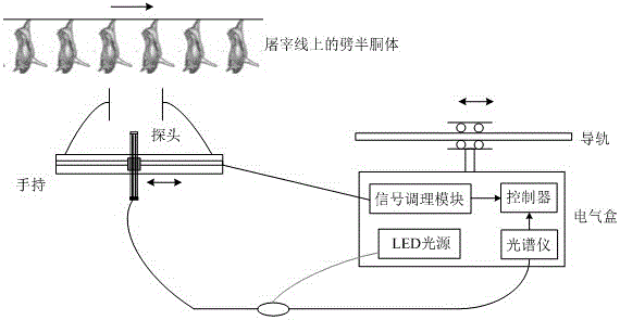 Split pork carcass fat and lean thickness nondestructive measurement system based on near-infrared light