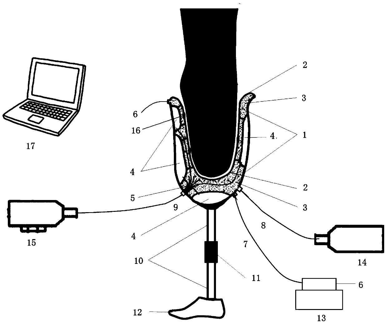 Method and system applied to loading modeling of crus prosthetic socket