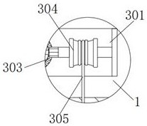 A sunshade device for new energy vehicles