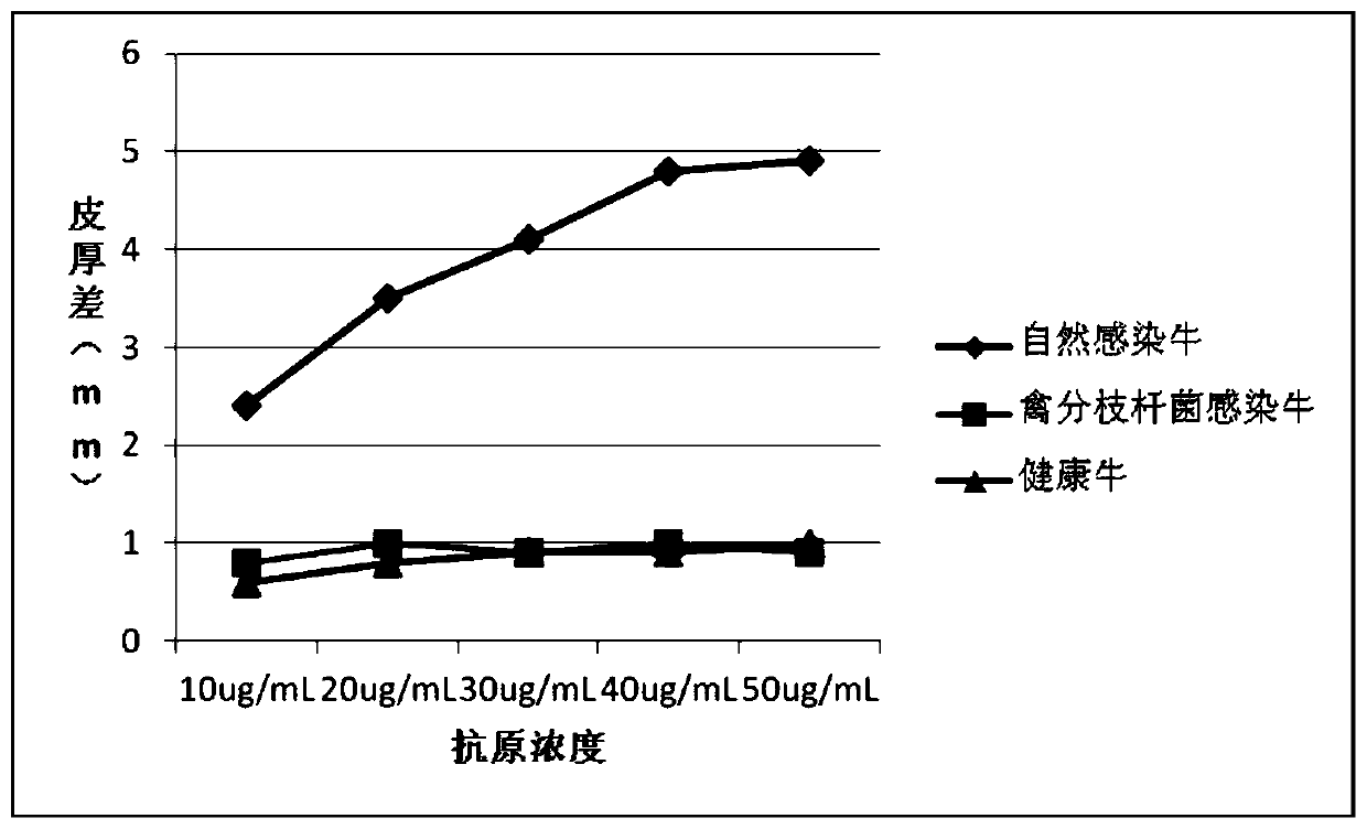 Cocktail antigen for detection of allergic reaction of bovine tuberculosis