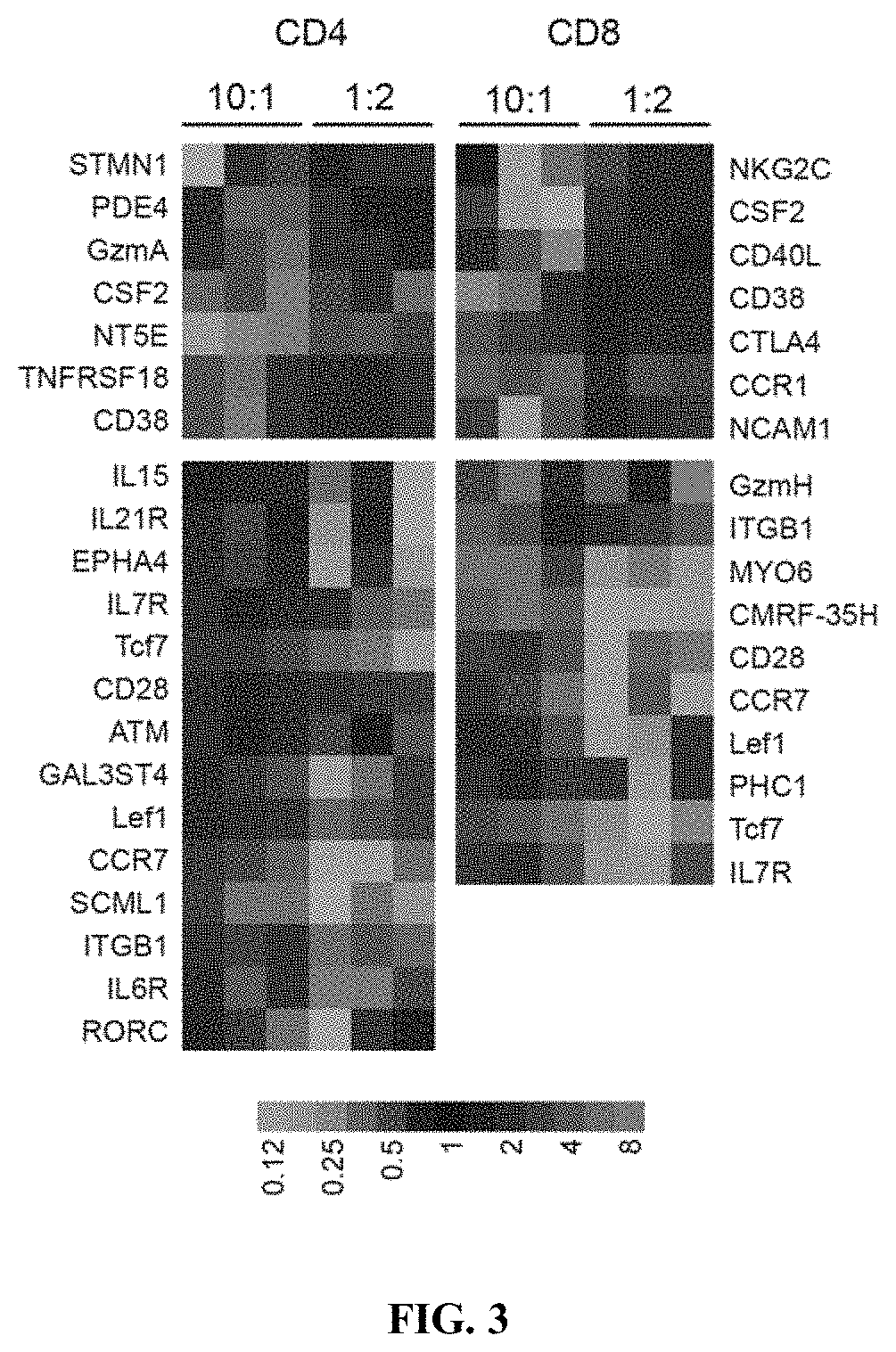 Chimeric antigen receptors (CAR) and methods for making and using the same