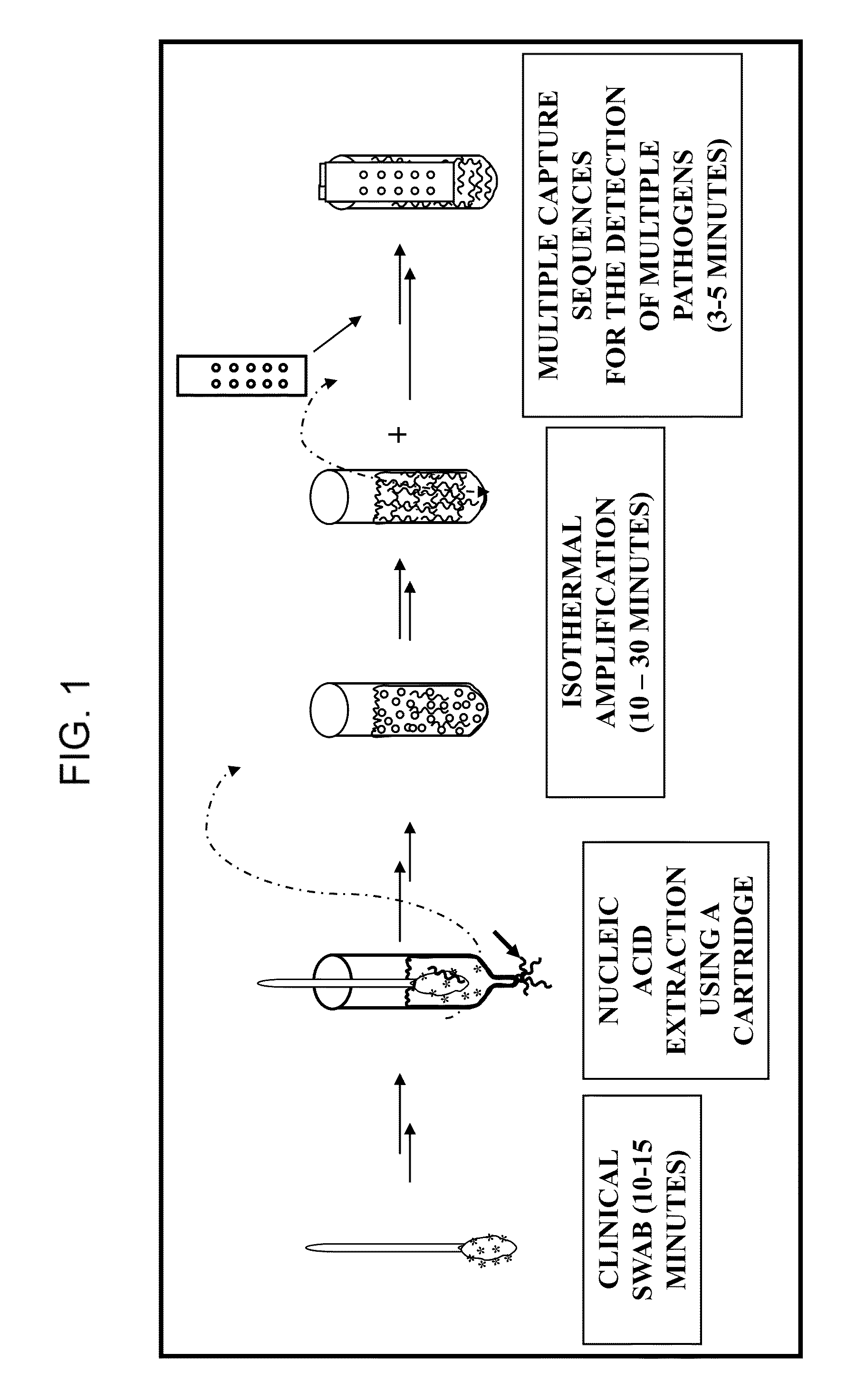 Nucleic Acid Detection System and Method for Detecting Influenza