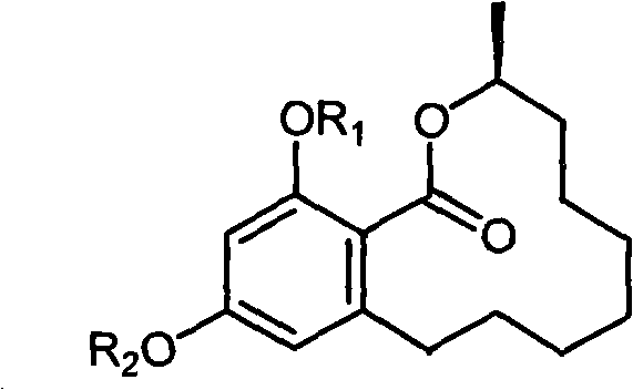 Benzo macrolide compound (3R)- des-O-methyllasiodiplodin, its derivatives and preparation method and use