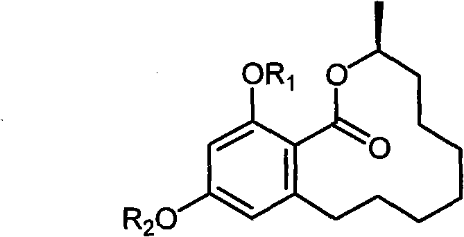 Benzo macrolide compound (3R)- des-O-methyllasiodiplodin, its derivatives and preparation method and use