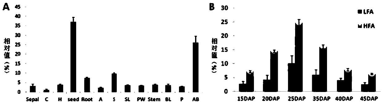 Identification and application of fatty acid transporter gene BnFAX6 for brassica napus