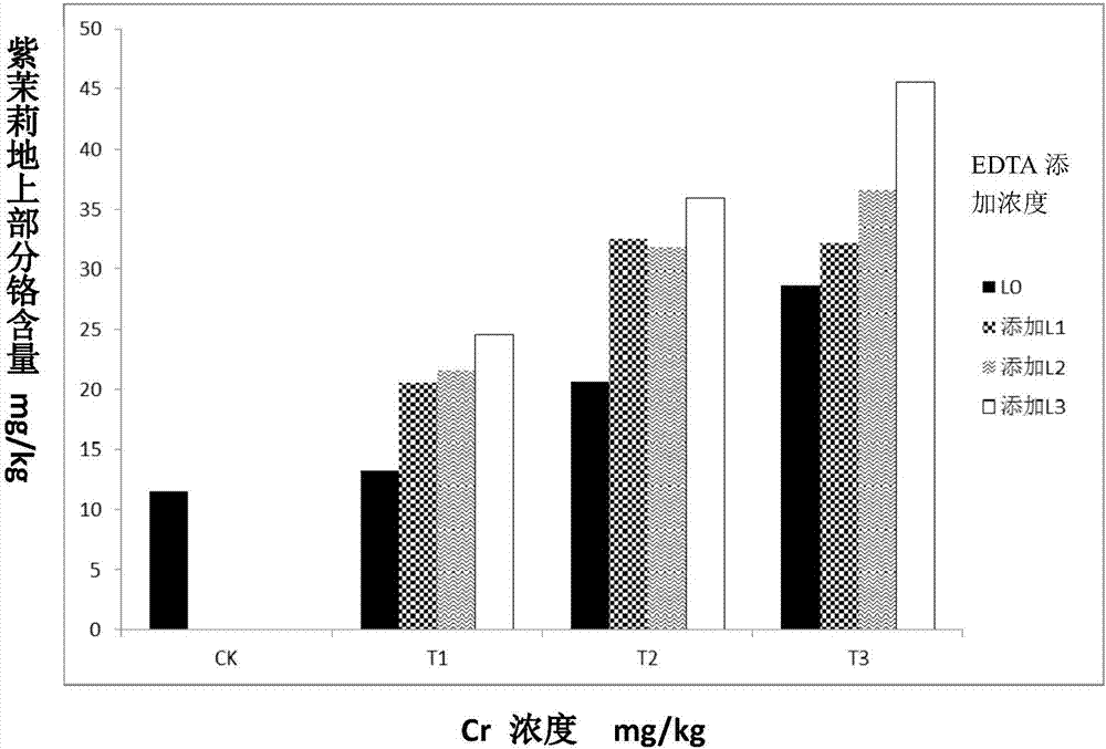 Method for chromium-contaminated soil remediation by mirabilis jalapa