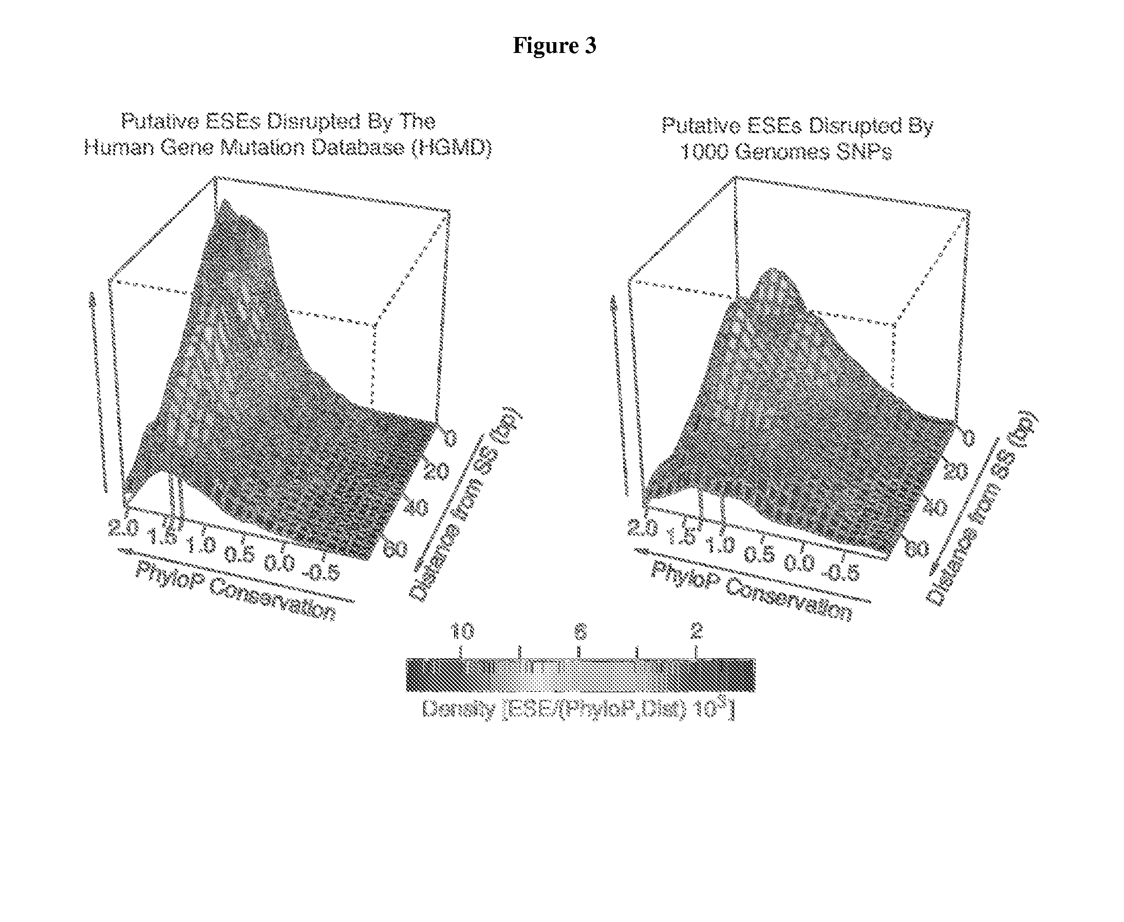 Exonic splicing enhancers and exonic splicing silencers