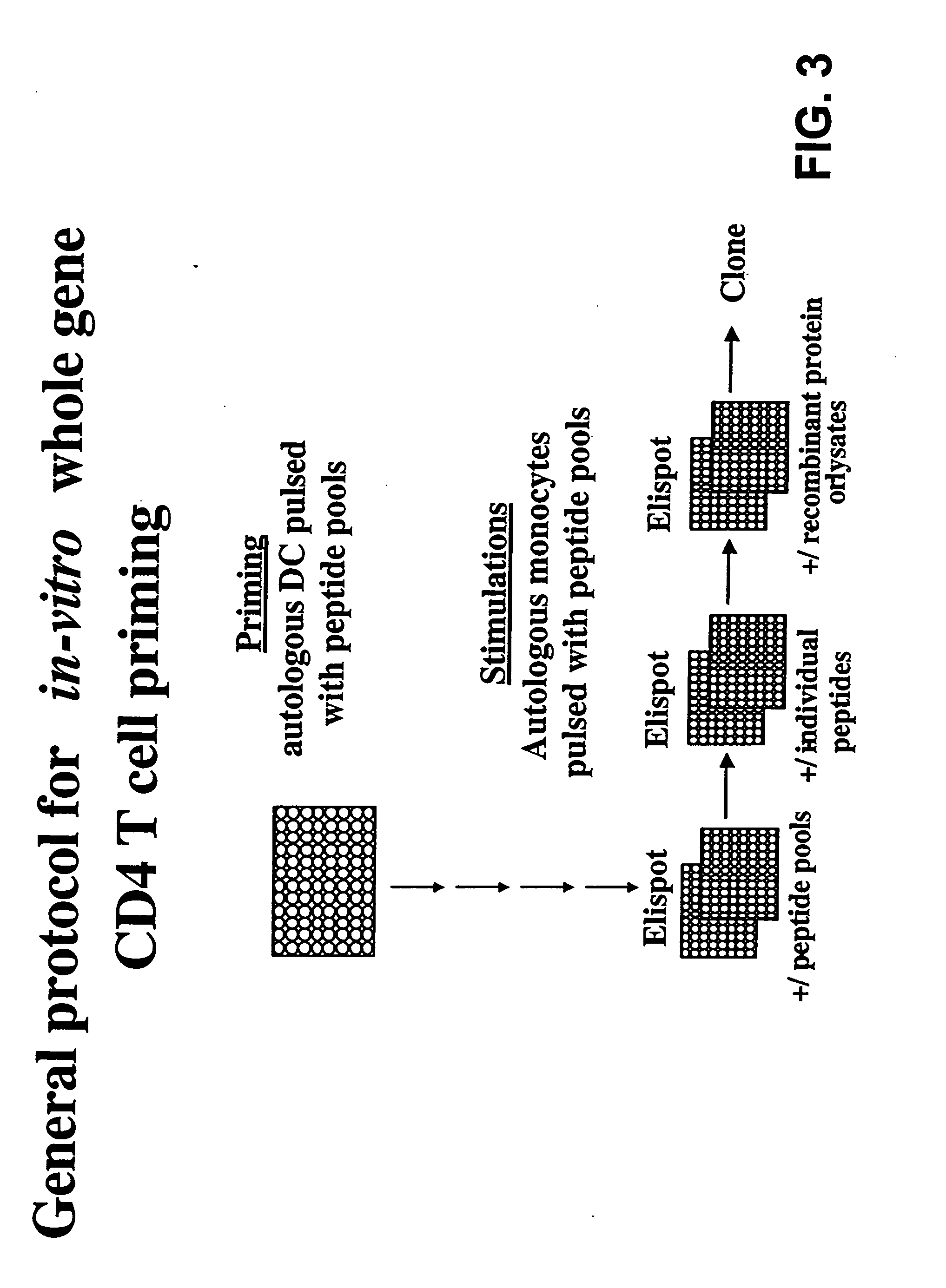Compositions and methods for the detection diagnosis and therapy of hematological malignancies