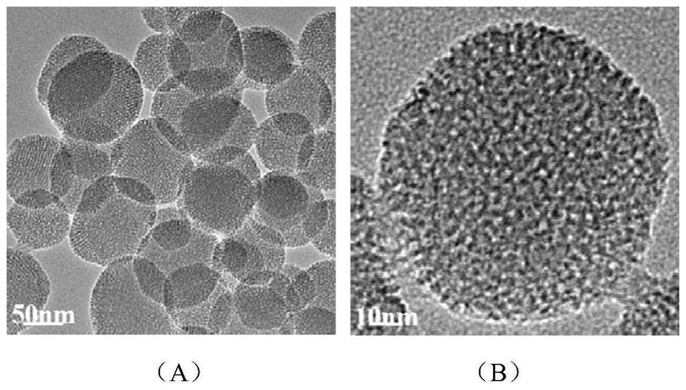 Mesoporous silica nanometer drug-loaded particles targeting tumor tissue and cells and preparation method thereof