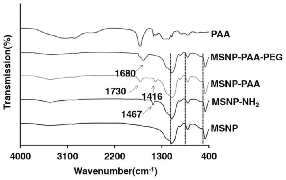 Mesoporous silica nanometer drug-loaded particles targeting tumor tissue and cells and preparation method thereof