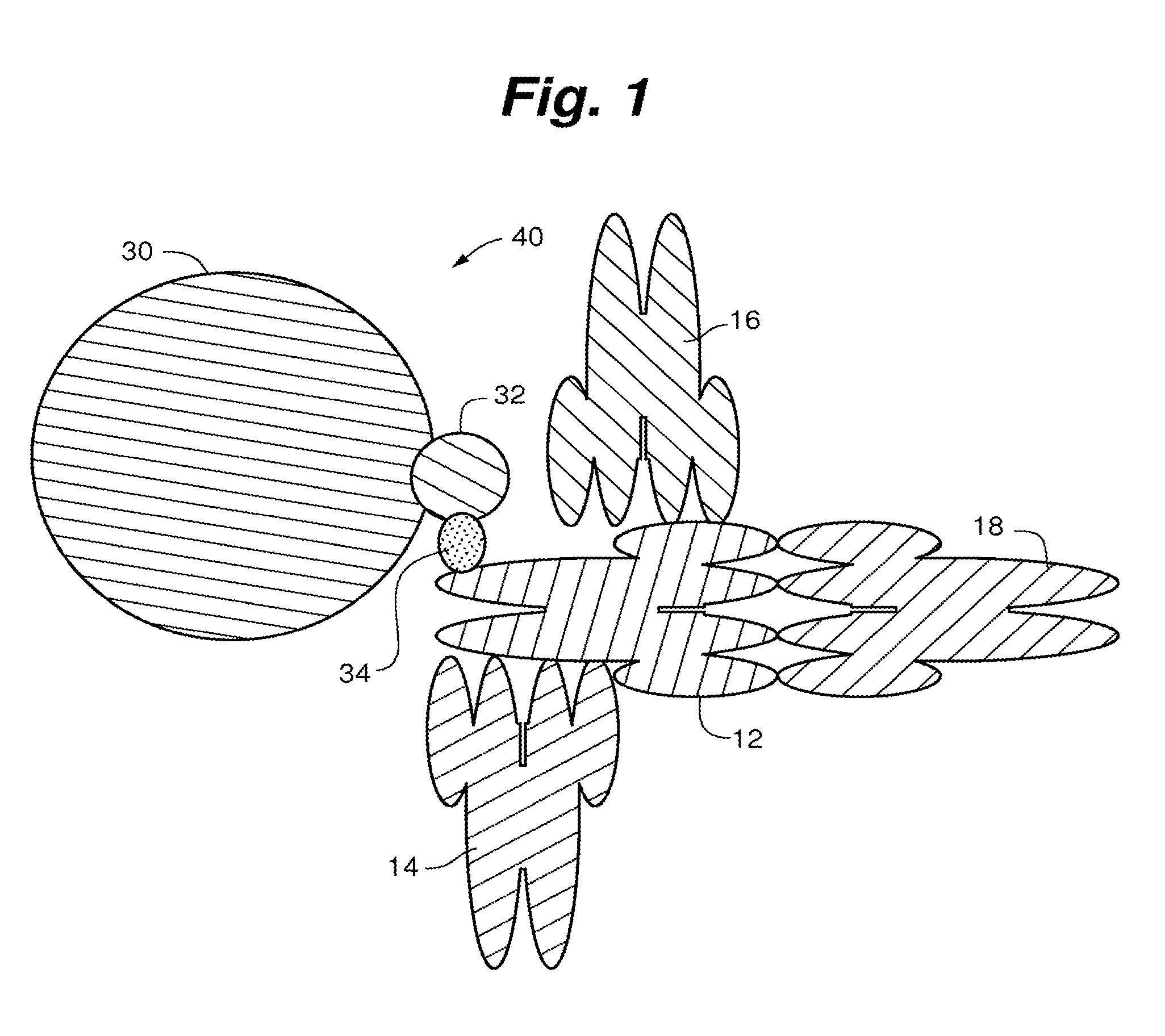 Compositions, systems and methods that detect and/or remove cross-reactive antibodies from a biological sample