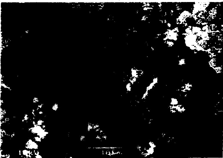 Polylactic resin composition and its moulded goods