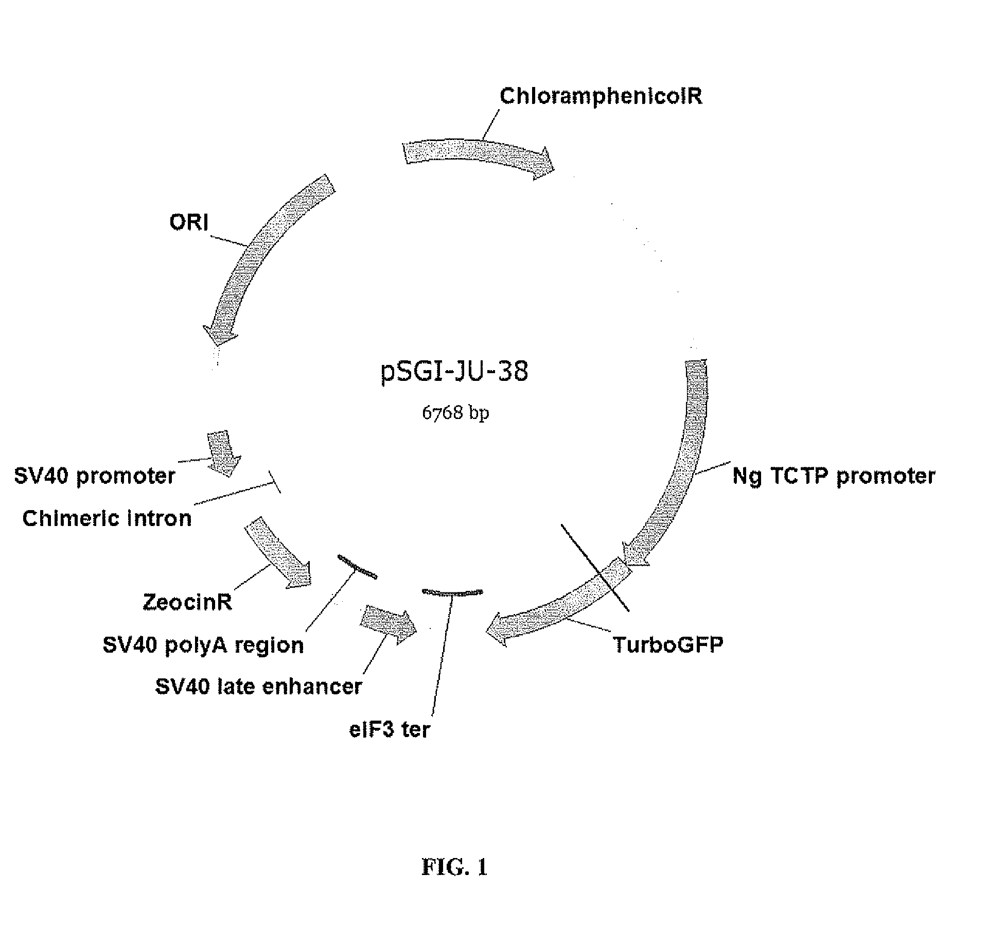 Regulatory elements and uses thereof