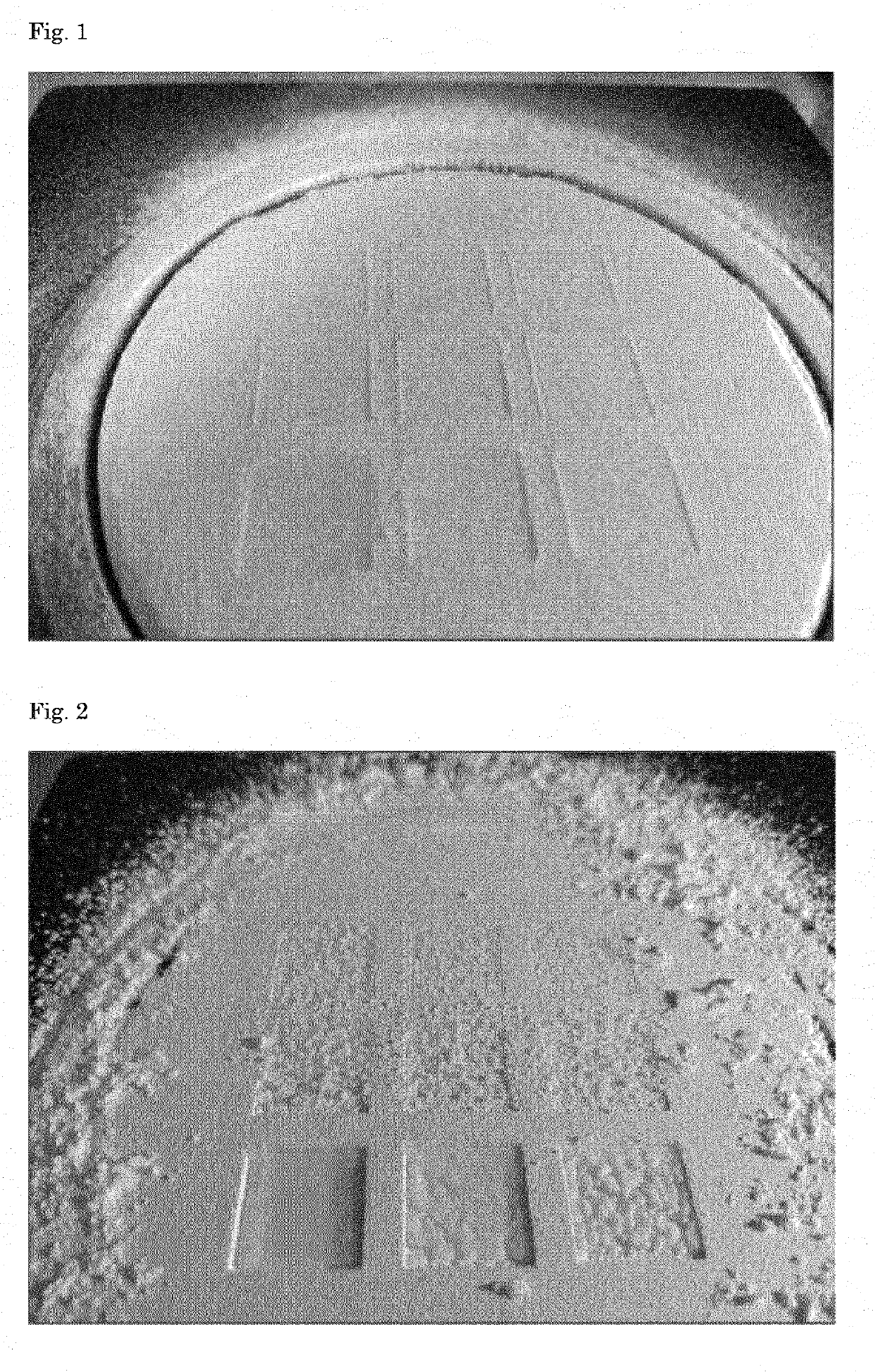 Lactose powder bed three dimensional printing