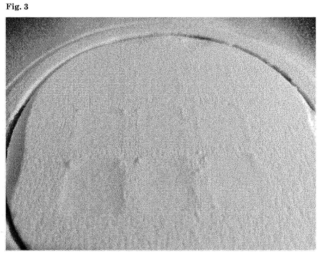Lactose powder bed three dimensional printing