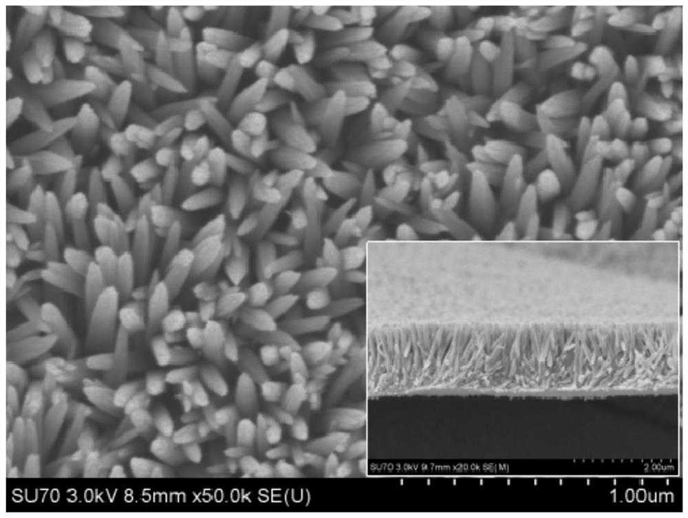 A kind of wide temperature denitrification catalyst and preparation method thereof