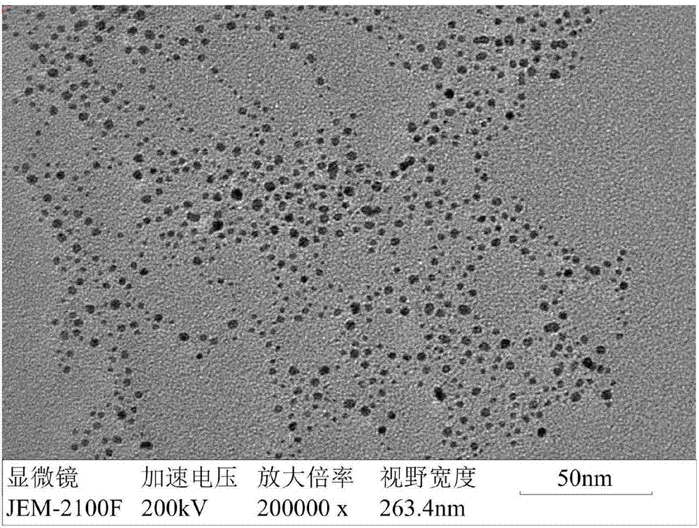 Gold nanomaterial synthesized by dithiothreitol, preparation method and application