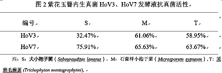 Hosta ventricosa endophytic fungus metabolites, medical biological activity and application of hosta ventricosa endophytic fungus metabolites