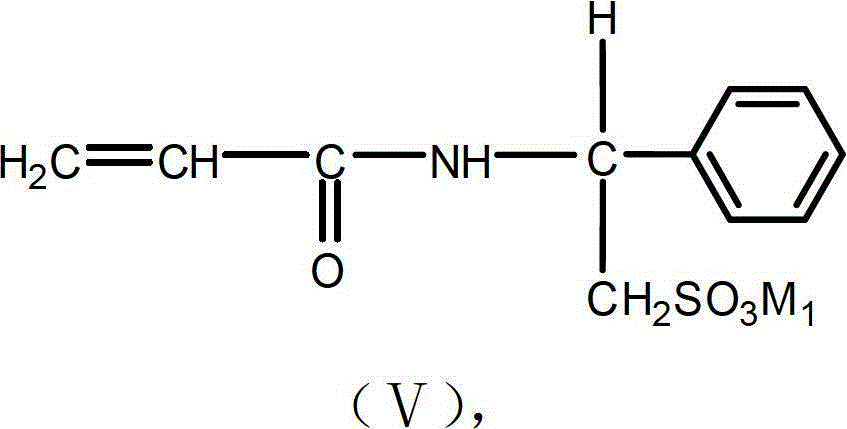 Acrylamide monomer and its preparation method and acrylamide copolymer and its preparation method and application