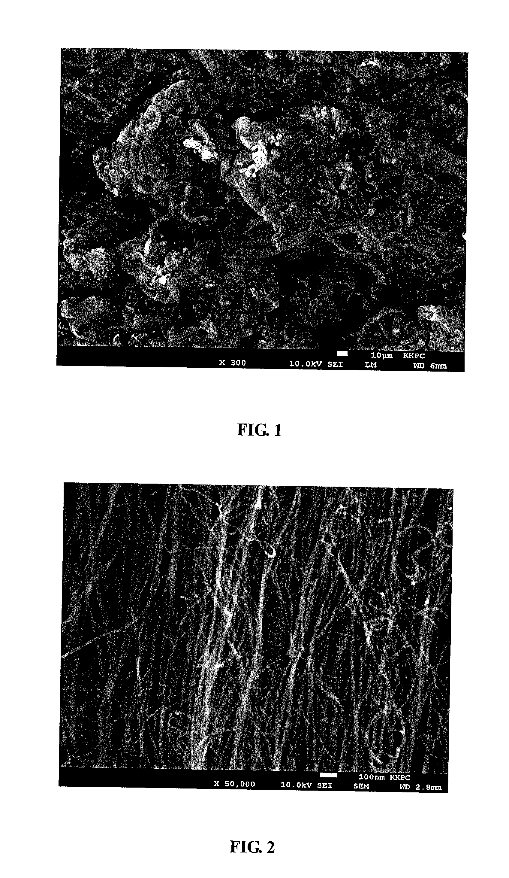 Highly Conductive Carbon Nanotube Having Bundle Moieties With Ultra-Low Bulk Density and Its Manufacturing Method