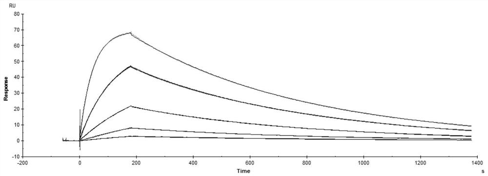 An anti-human PD-1 monoclonal antibody preparation, combined drug and use thereof