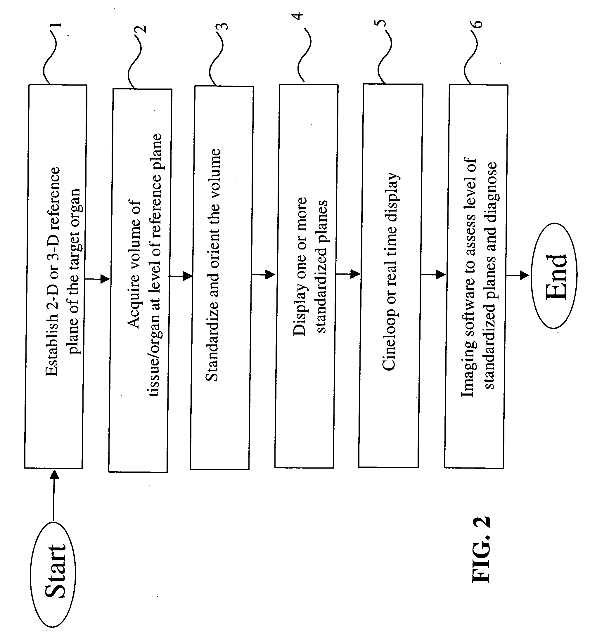 System, method and medium for acquiring and generating standardized operator independent ultrasound images of fetal, neonatal and adult organs