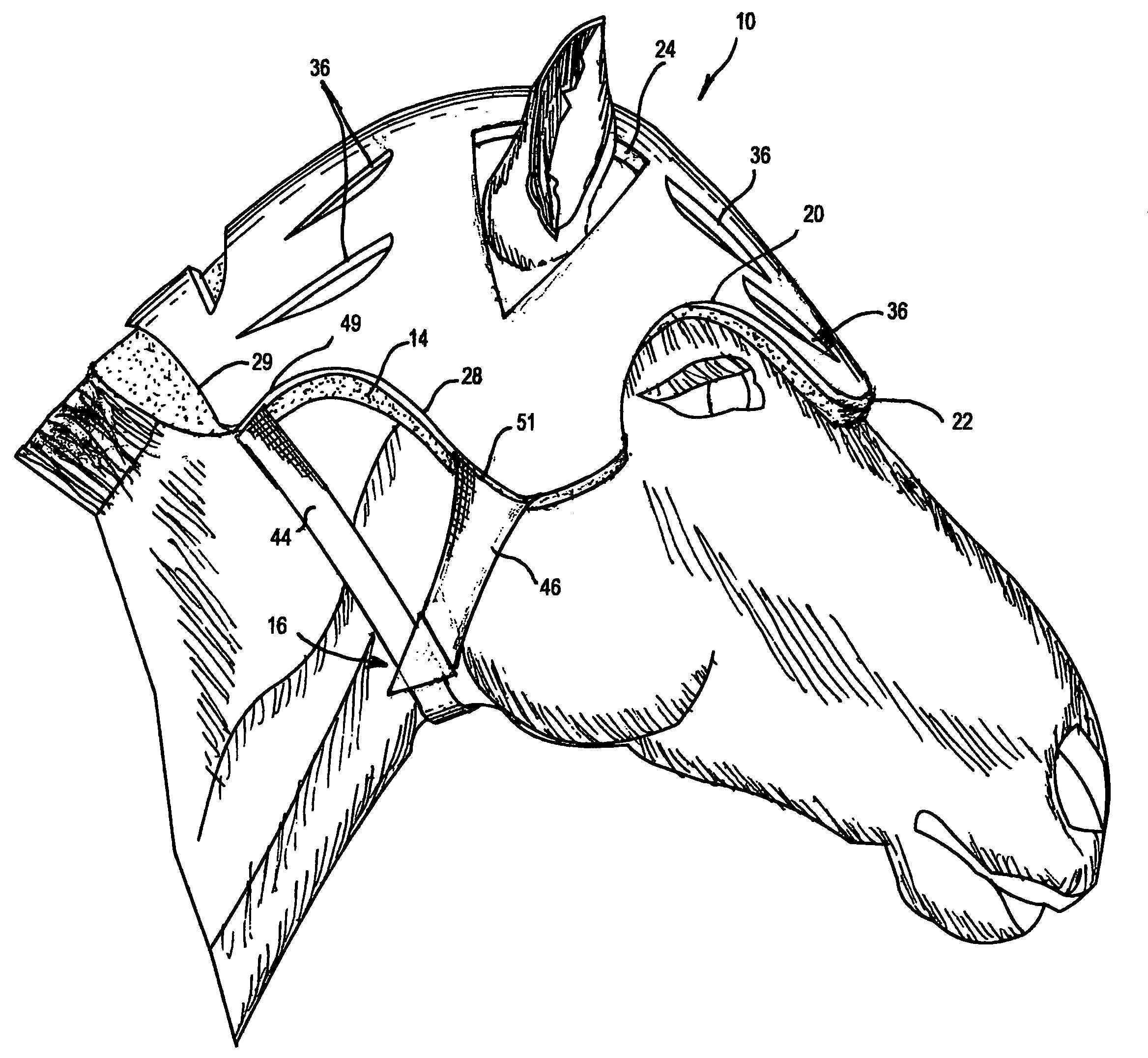 Protective helmet for horses