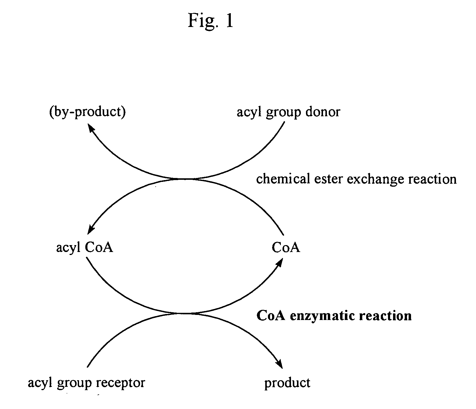 Process for acyl-transfer enzyme reactions with acyl-coenzyme a
