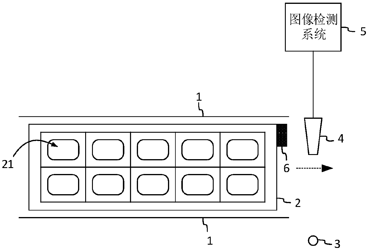 Chip vision detection system