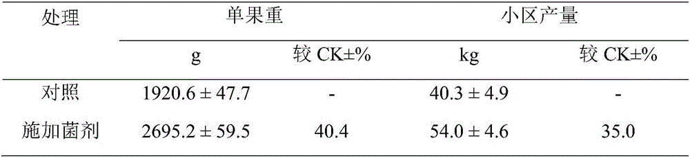 A kind of potassium decomposing bacterium and application thereof