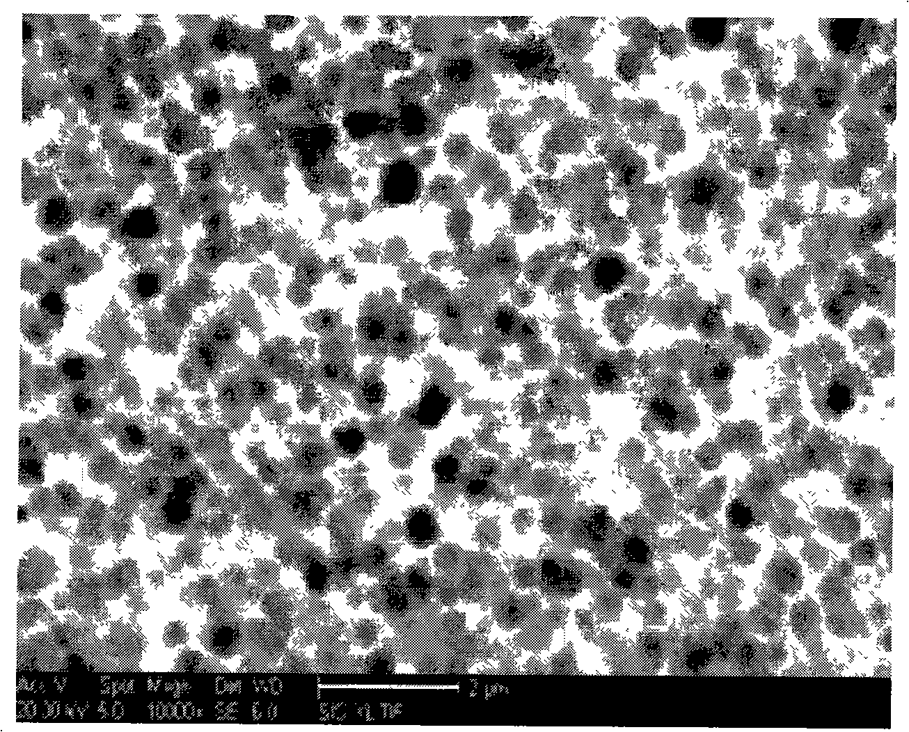 Process for preparing nitrogen doped micropore titanium dioxide photocatalysis layer of visual light on base of titan and titan alloy