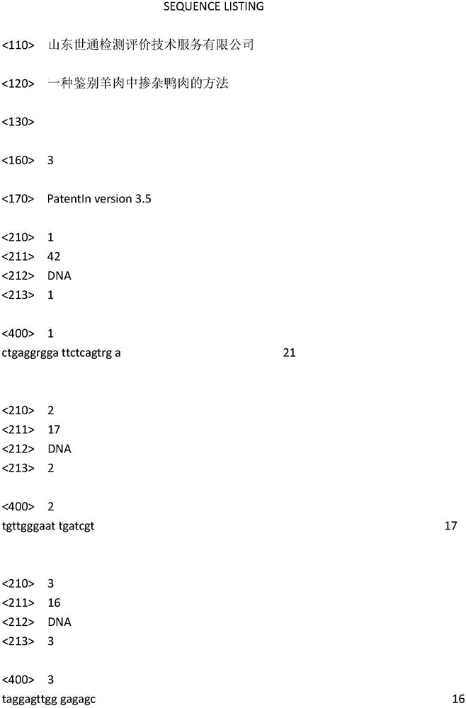 Method for identifying duck meat mixed in mutton