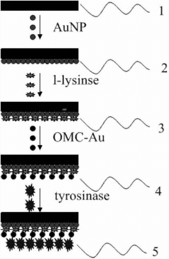 Modified-electrode-based tyrosinase biosensor as well as preparation method and application thereof