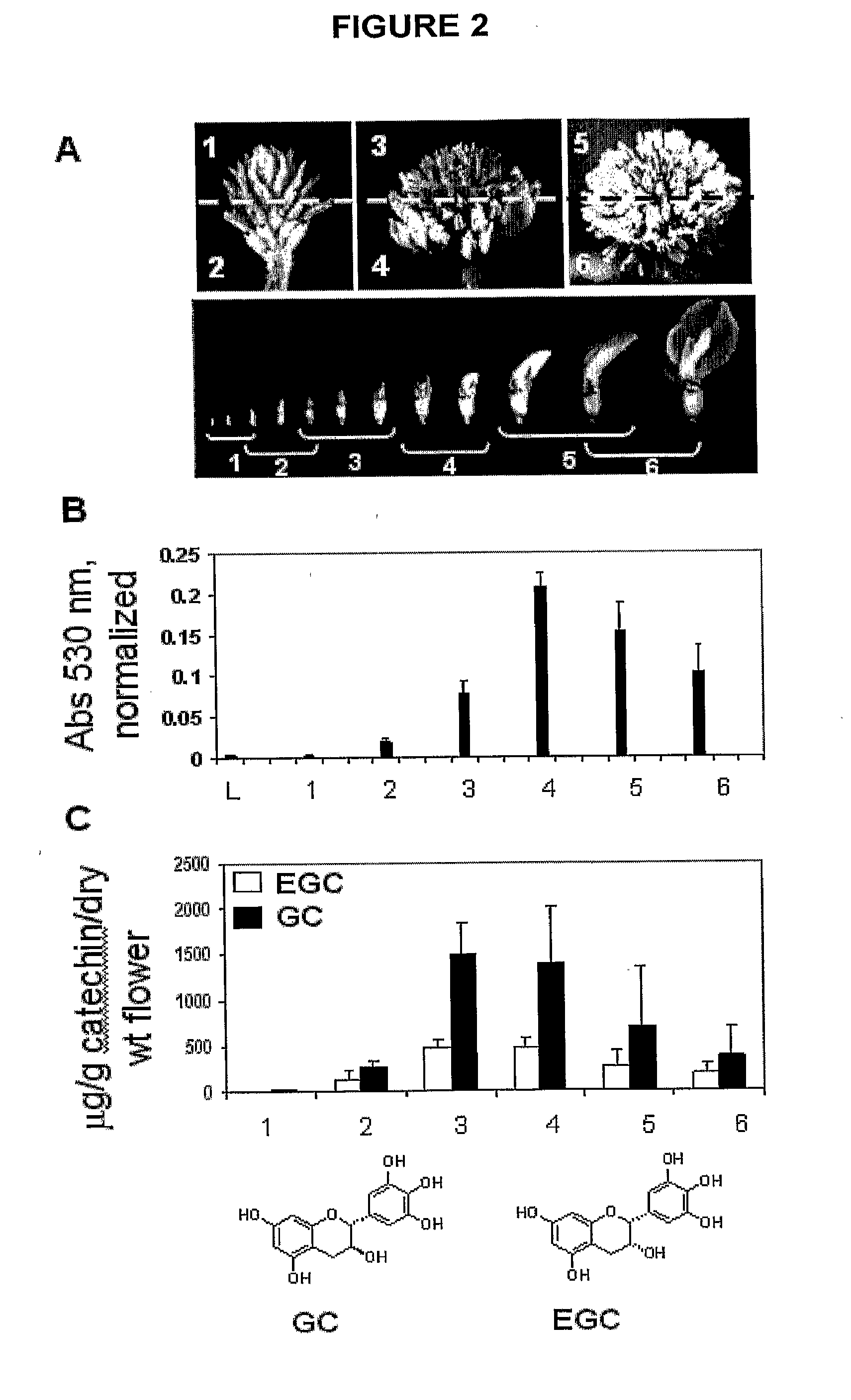 Manipulation of flavonoid biosynthetic pathway
