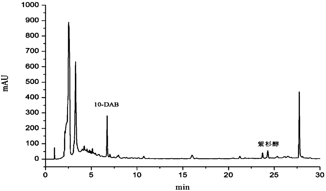 Method for simultaneously extracting paclitaxel and 10-DABIII (10-Deacetyl Baccatin III) from taxus chinensis