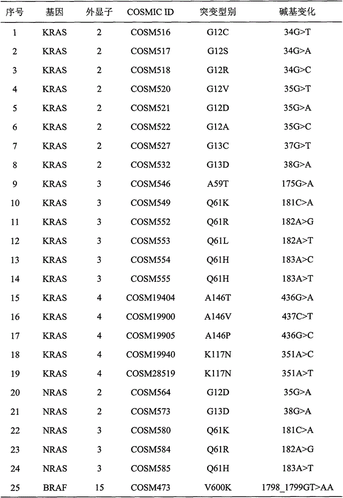 Method and kit for detecting colorectal cancer KRAS/NRAS/BRAF/PIK3CA genes