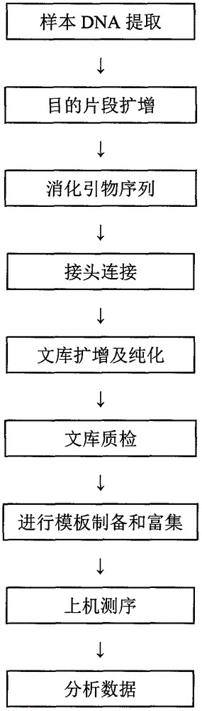 Method and kit for detecting colorectal cancer KRAS/NRAS/BRAF/PIK3CA genes