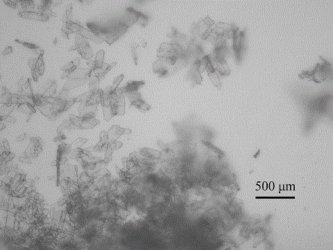 Method for preparing flaky ibuprofen crystal by adding crystal-growing controlling agent into aqueous solution