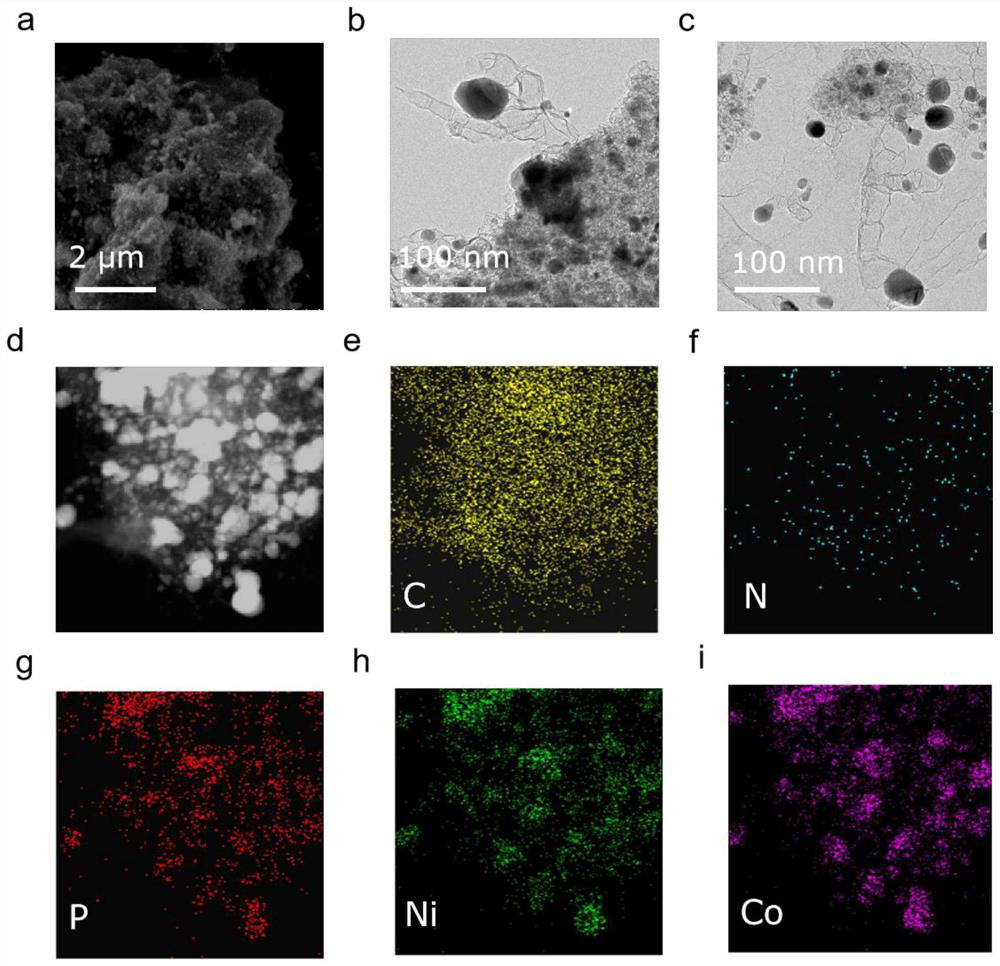 Nitrogen-doped carbon-based Co/Ni12P5 oxygen evolution catalyst as well as preparation method and application thereof