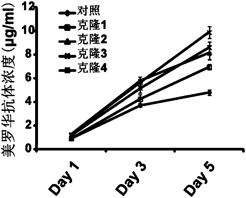 Construction method of gene knockout CHO cell line and application of gene knockout CHO cell line in expression of therapeutic recombinant proteins
