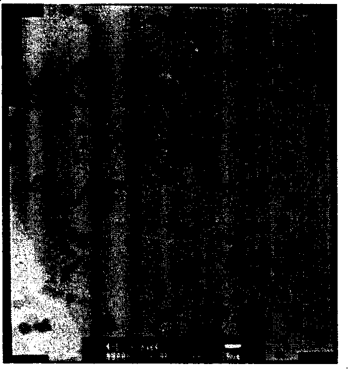 Chirality diamine-metallic complex polyphase catalyzer as well as preparation method and application