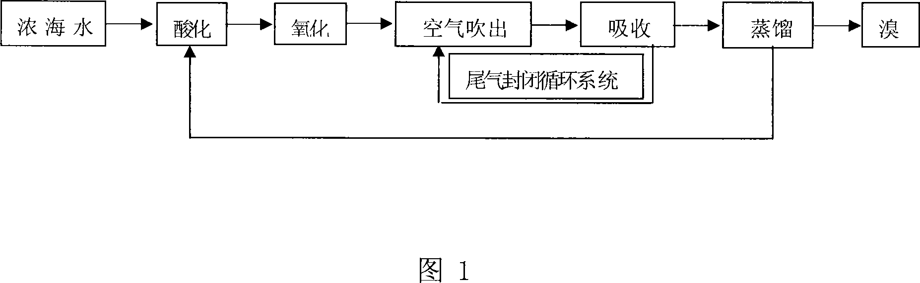 Technology process for producing bromide using concentrated seawater