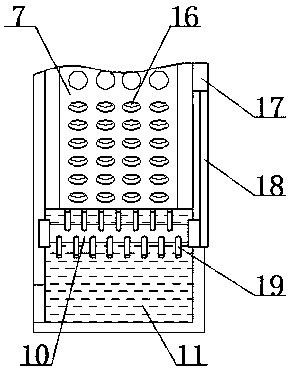 Hickory nut flotation machine