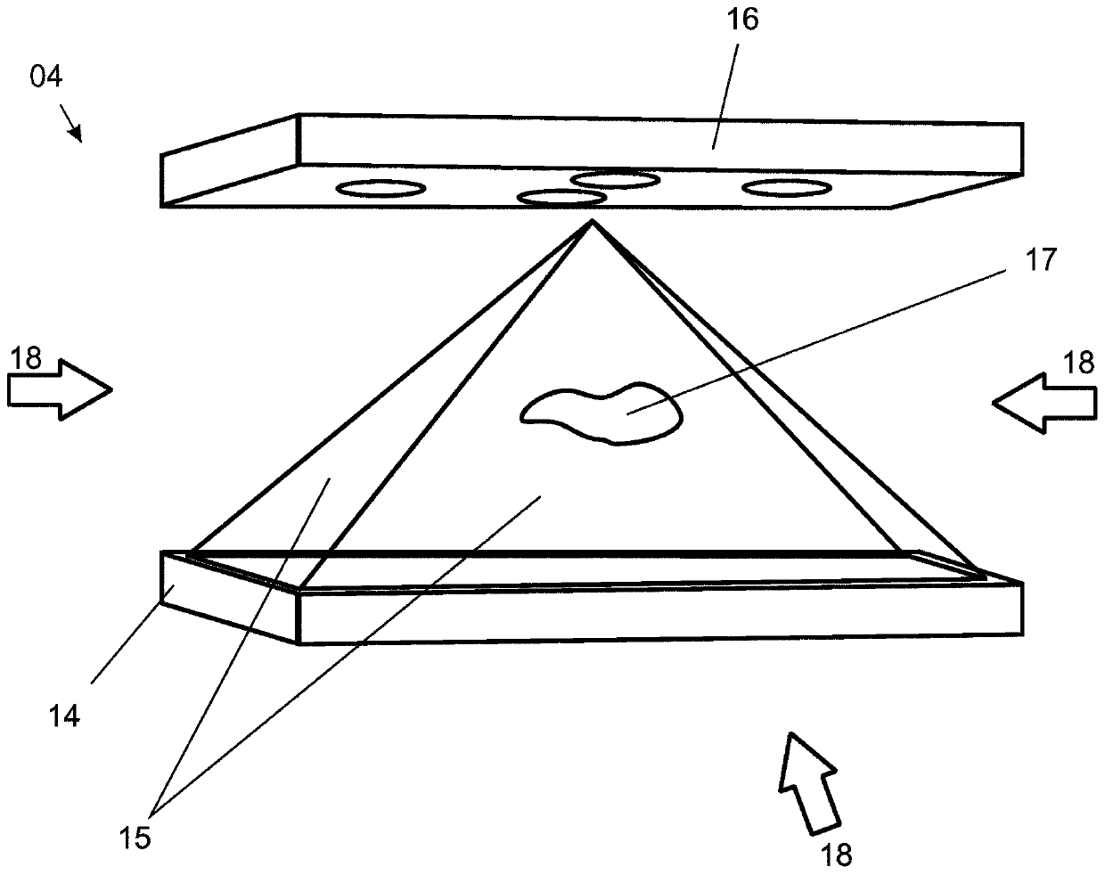 Microscope assembly for capturing and displaying three-dimensional images of sample