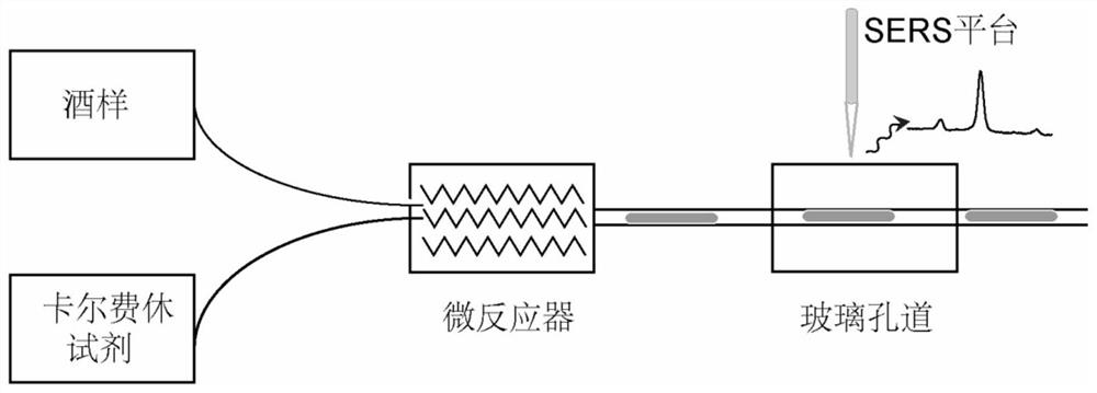 High-throughput sers online detection method for sulfur dioxide in wine