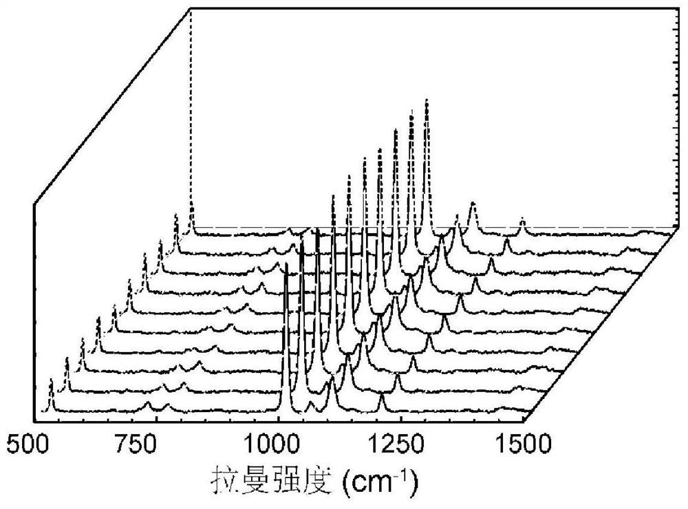 High-throughput sers online detection method for sulfur dioxide in wine