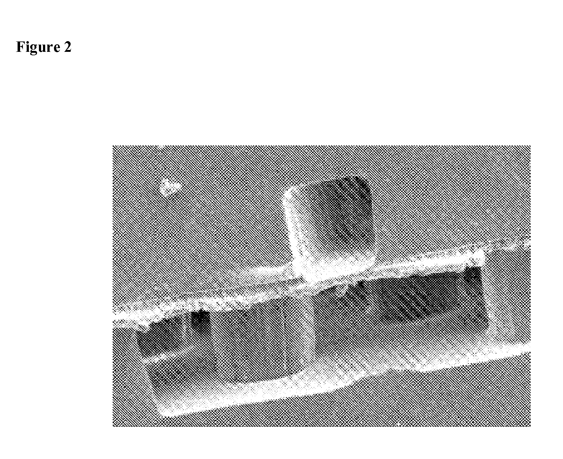 Microfabricated artificial lung assist device, and methods of use and manufacture thereof